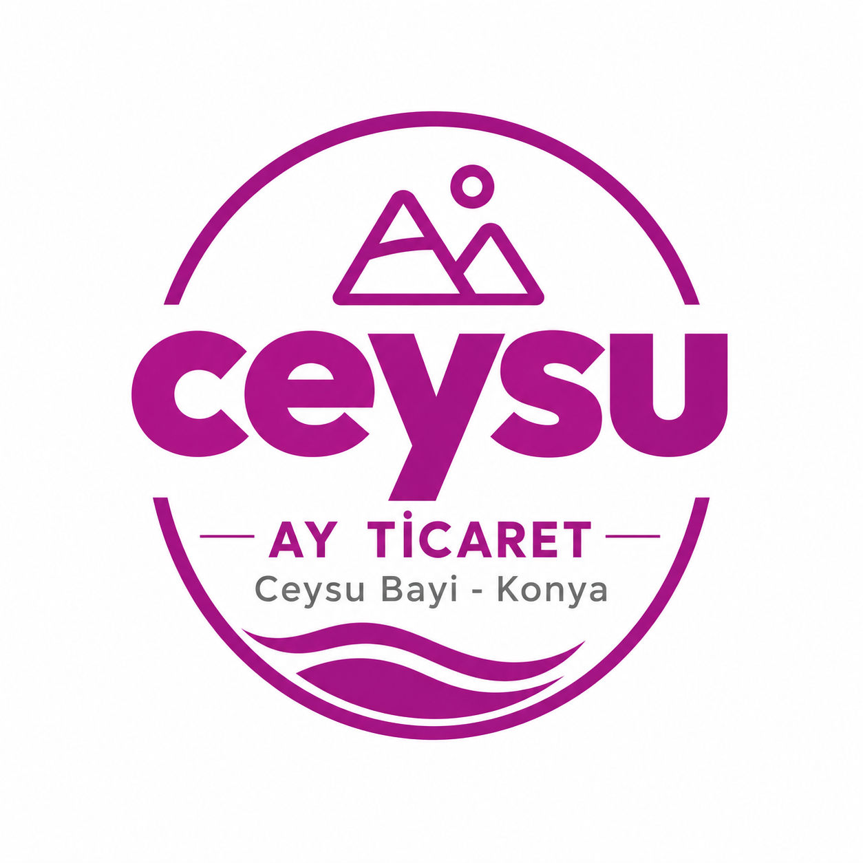 Ceysu Logo